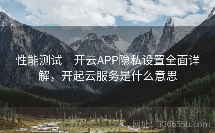 性能测试｜开云APP隐私设置全面详解，开起云服务是什么意思