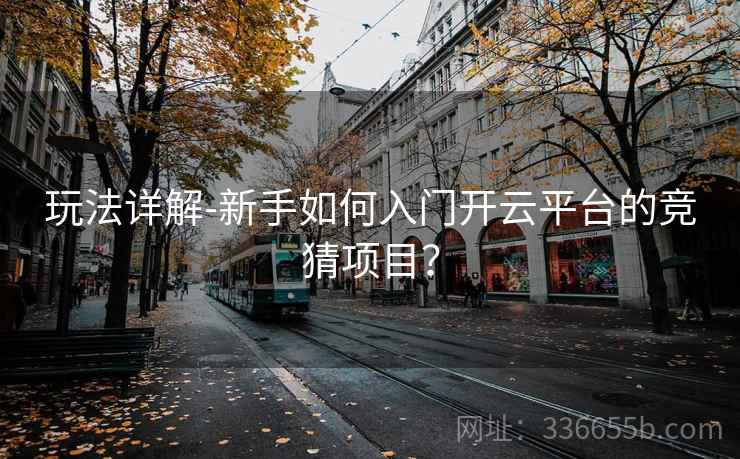 玩法详解-新手如何入门开云平台的竞猜项目？