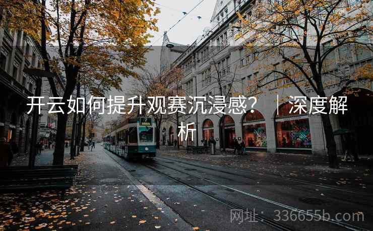 开云如何提升观赛沉浸感？｜深度解析