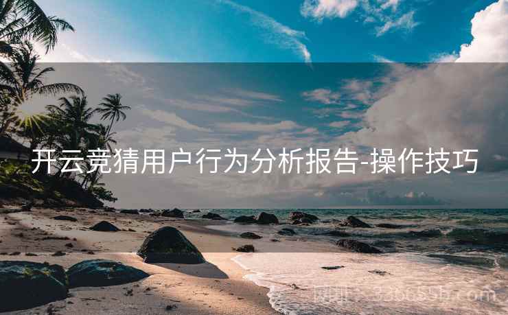 开云竞猜用户行为分析报告-操作技巧