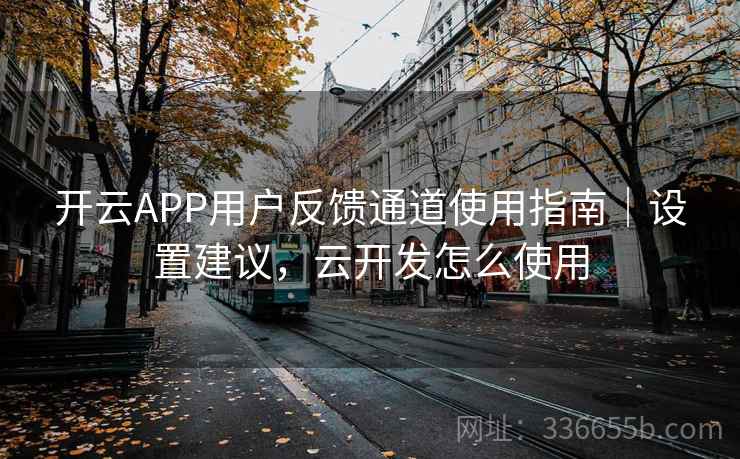 开云APP用户反馈通道使用指南｜设置建议，云开发怎么使用