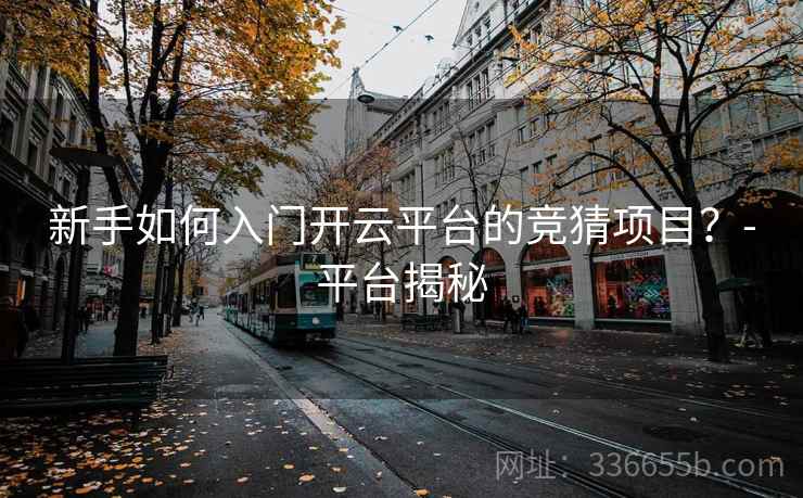 新手如何入门开云平台的竞猜项目？-平台揭秘