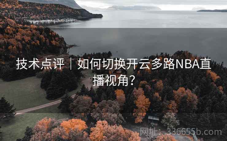 技术点评｜如何切换开云多路NBA直播视角？  第1张