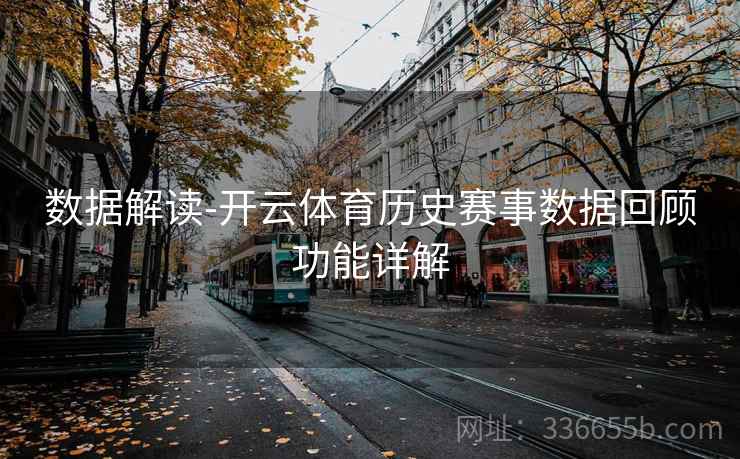 数据解读-开云体育历史赛事数据回顾功能详解  第2张